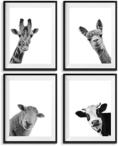 שחור ולבן קיר אמנות הדפסי בד חמוד ג ' ירפה אלפקה כבשים פרה תמונות מצחיק חיות קיר תפאורה מודרני ממוסגר יצירות אמנות לילדים ילד ילדה חדר משתלת קישוט-8 * 10 סנטימטרים, 4 יחידות