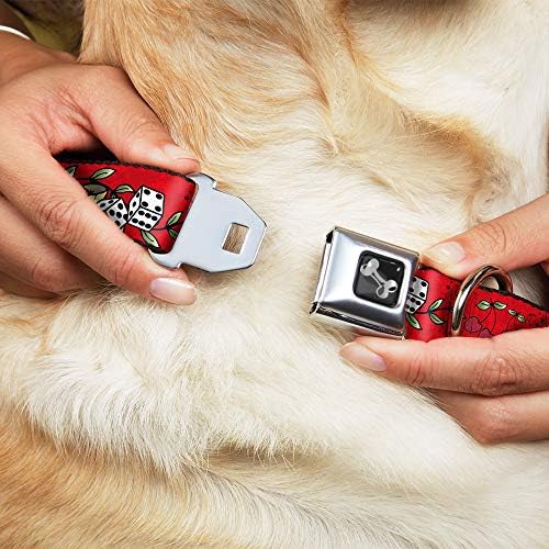 צווארון כלב אבזם חגורת בטיחות מזל אדום 15 עד 26 אינץ 'ברוחב 1.0 אינץ'