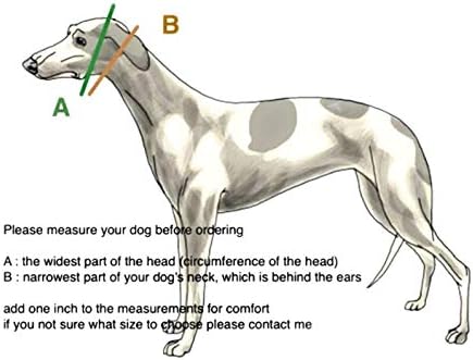 צווארון כלבים מרטינגייל רך נוסף עבור גרייהאונד סלוקי וויפט וגזעים אחרים עם צוואר דומה 2 רחב