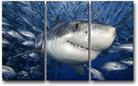 3 חתיכה כחול קיר אמנות ציור כריש לתפוס דגי תמונות הדפסים על בד בעלי החיים את תמונה דקור שמן לבית מודרני קישוט הדפסה
