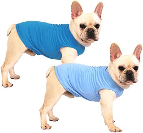 חולצה כחולה ריקה של Sychien, חולצות בנות כלבי הילדה חולצות טי גדולות, חולצת טריקו של תחש רגיל, XL כחול רויאל